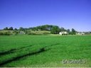 Lot 33 Windover Farms sold home in Brevard, SC