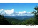 557 Connies Cove sold home in Waynesville, SC