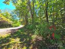 123 Live Oak Loop sold home in Waynesville, SC