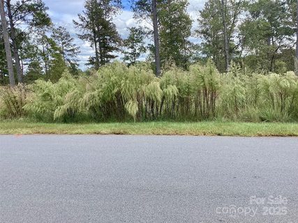 1818 Jumping Run active lot in Lakeside Reserve, Connelly Springs, NC