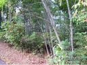 Lts15 16 South Fairway Dr sold home in Nebo, SC
