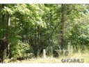 113 Glen Trillium Drive 12 sold home in Fletcher, SC
