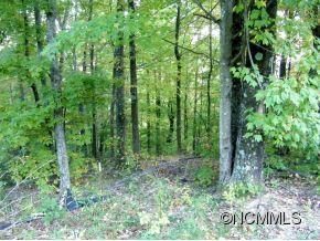 Lot 50 Logan Falls Court