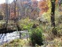 1055 Morgan Hill Rd 11 sold home in Black Mountain, SC