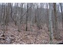 77 Rufus sold home in Maggie Valley, SC