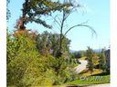72 Ledgestone Drive 55 sold home in Fairview, SC
