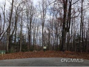 151 Brown Bear Ridge Trail 14