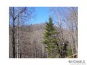 Lot 100 Whispering Woods Path sold home in Mars Hill, SC