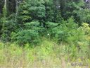 18 Wind Stone Drive Lot 2 sold home in Asheville, SC