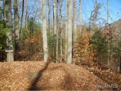 8 Fern Cove Lane sold lot in Hickory Nut Forest, Gerton, NC