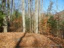8 Fern Cove Lane sold home in Gerton, SC