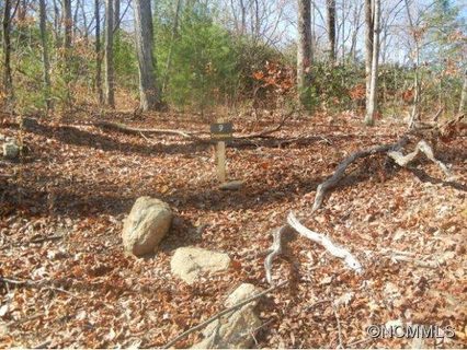 9 Fern Cove Lane sold lot in Hickory Nut Forest, Gerton, NC