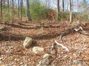 9 Fern Cove Lane sold home in Gerton, SC