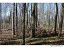 51 Rathfarnham Road 10 sold home in Asheville, SC
