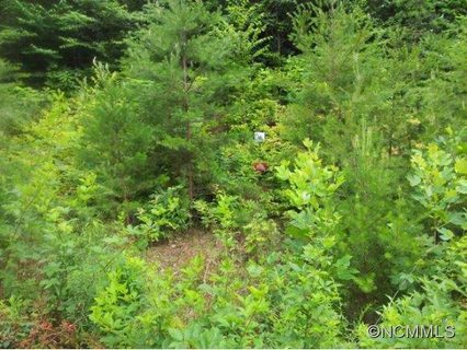 61 Wind Stone Dr Lot 55