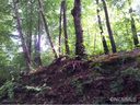 67 Wind Stone Dr Lot 56 sold home in Asheville, SC