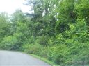 36 Timber Moss Dr Lot 48 sold home in Asheville, SC