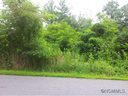 41 Timber Moss Dr Lot 40 sold home in Asheville, SC