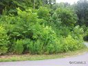 49 Timber Moss Dr Lot 41 sold home in Asheville, SC