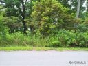 55 Timber Moss Dr Lot 42 sold home in Asheville, SC