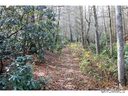 161 143 Burnside Trail 13/13A sold home in Hendersonville, SC
