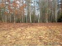 92 Ledgestone Drive 48 sold home in Fairview, SC