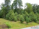 41 Flameleaf Lane sold home in Hendersonville, SC