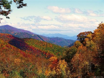 0 Bear Creek Road 48A