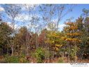 Lot 29 Eastatoe Gap Rd sold home in Rosman, SC