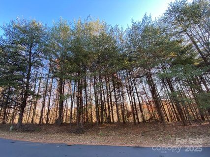 1438 Windemere Lane sold lot in Deerfield, Hickory, NC