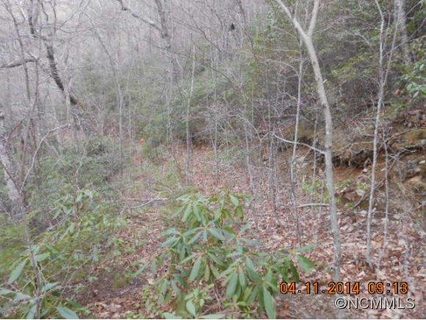 51 52 Bear Trail