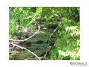 Lot 38 Cabin Creek Trail sold home in Mars Hill, SC