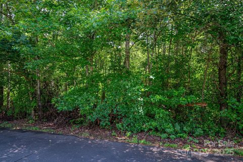 Lot 32 Line Drive active home in White Oak, Forest City, NC