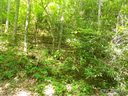 Lot P 39 Windwood Hill Rd P-39 sold home in Hendersonville, SC