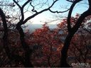 0 Chestnut Mountain Lot 104 sold home in Asheville, SC