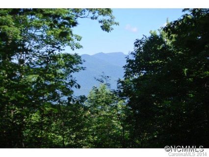 Lot 1 Wildflower Cove