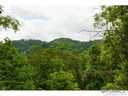 364 Chisel Rock Way sold home in Mars Hill, SC