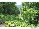 Lot 20 Silent Forest Drive sold home in Canton, SC