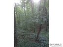 7 Woodhaven sold home in Asheville, SC