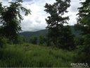 Lot 157 Homestead At Mills River sold home in Mills River, SC