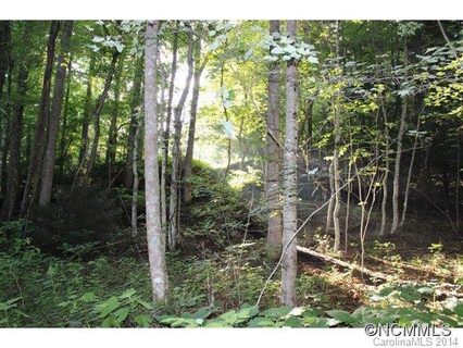 Lot 48 Off Boys Camp Road