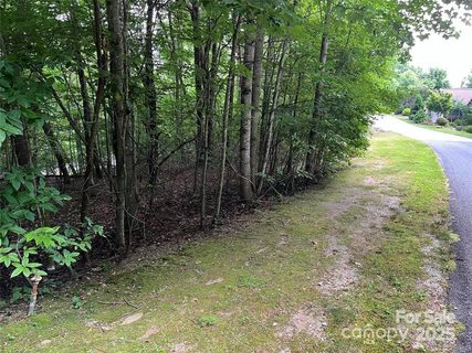 185 Ladys Fern Trail sold lot in Somersby Park, Hendersonville, NC