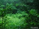 Lot 42 Nottingham Road sold home in Maggie Valley, SC