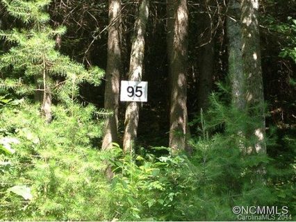 95 Bear River