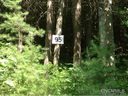 95 Bear River sold home in Marshall, SC
