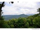37 Peach Knob Drive sold home in Asheville, SC