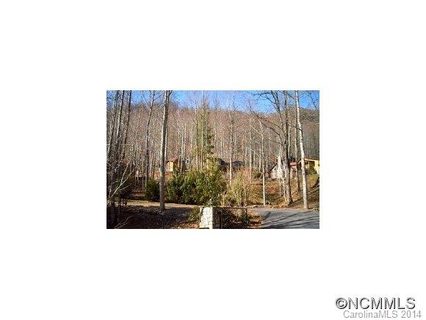 0000 Dogwood Trails