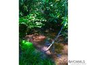 Lot 76 Peppervine Circle sold home in Rosman, SC