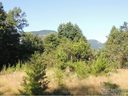 23a 24e Chapel Pt Lurewood Manor 23/24 sold home in Lake Lure, SC