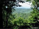 191 Corsica Ln 29 sold home in Saluda, SC